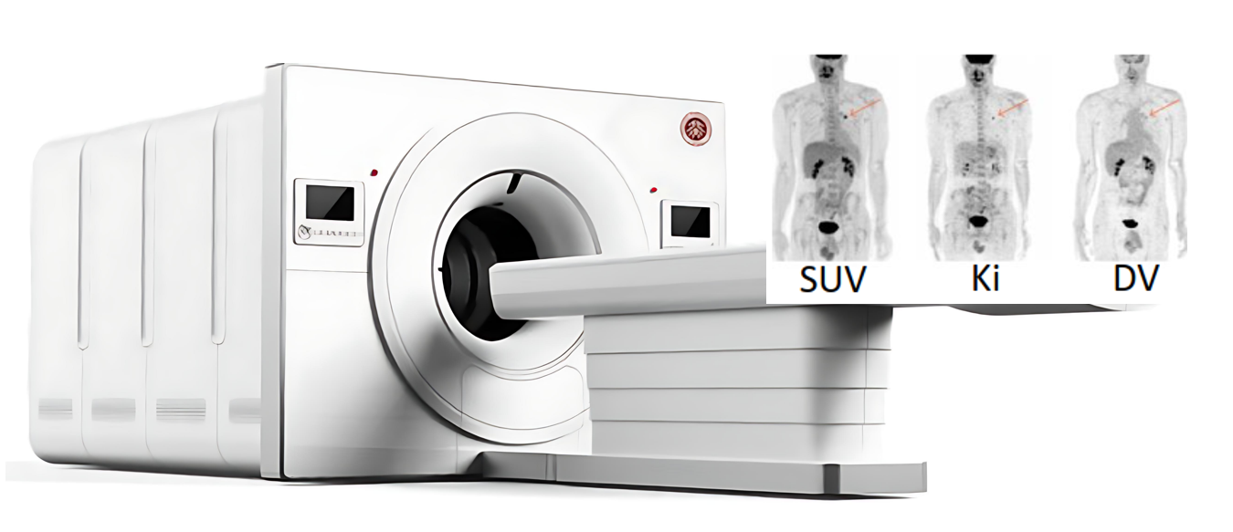 动力学建模 & 参数成像